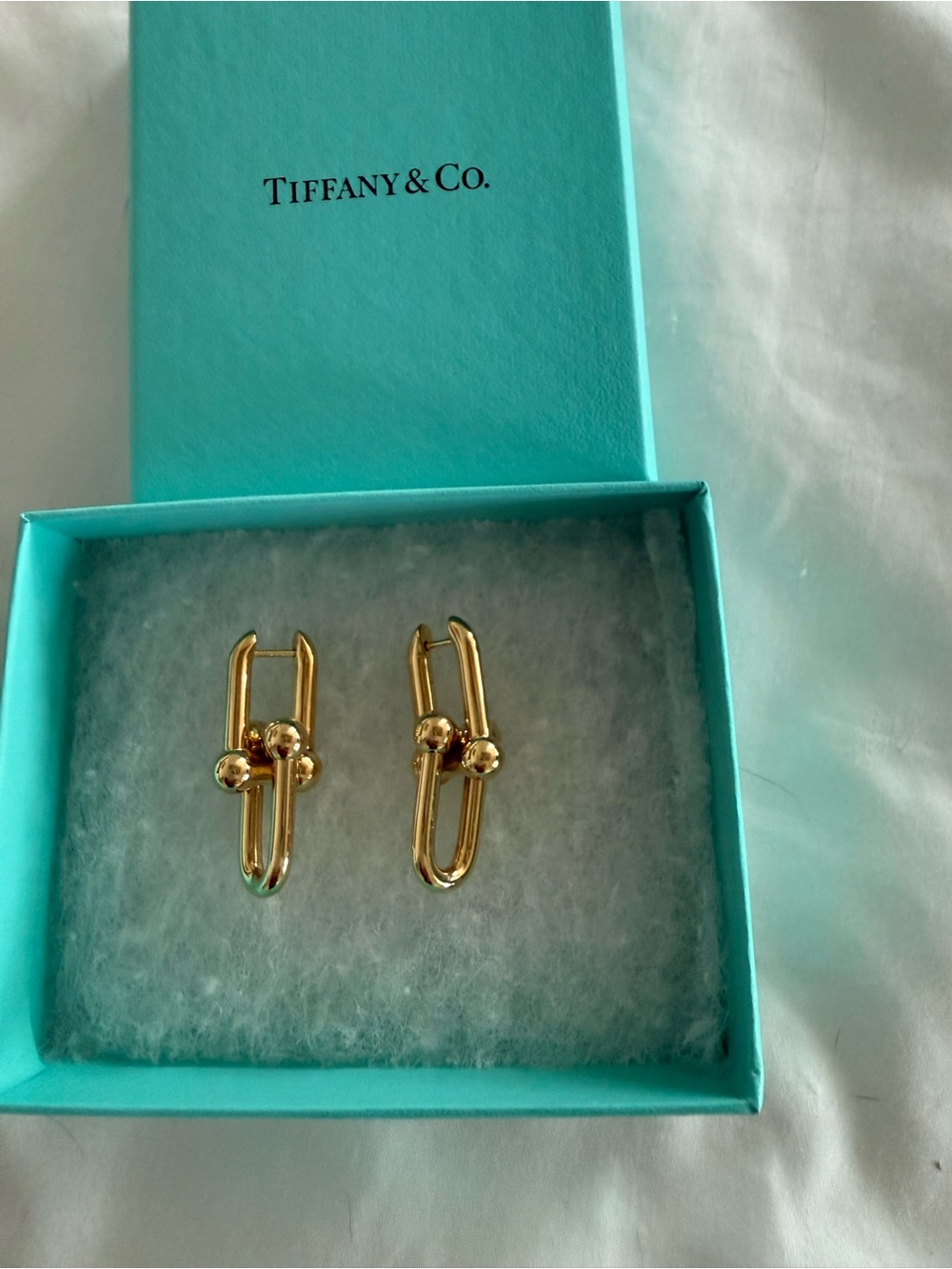 Tiffany & Co. Gold Knot Link Earrings
